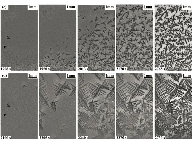金相物理檢測(cè)